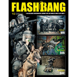 FlashBang Mag n°010