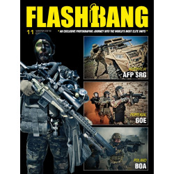 FlashBang Mag n°011