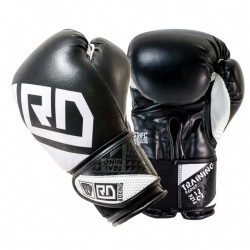 Gants de boxe training V4