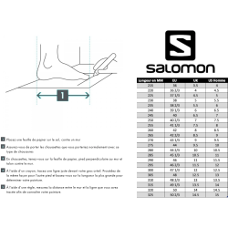 Chaussures Salomon QUEST 4D GTX Forces 2 EN - Marron