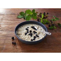 Trek'n Eat porridge hautement protéiné